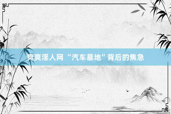 爽爽淫人网 “汽车墓地”背后的焦急
