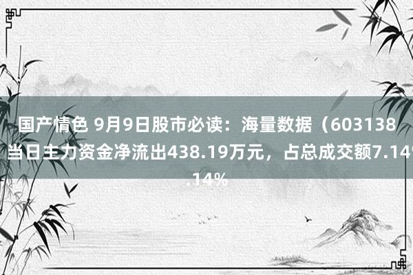 国产情色 9月9日股市必读：海量数据（603138）当日主力资金净流出438.19万元，占总成交额7.14%