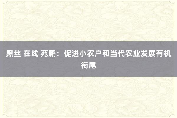 黑丝 在线 苑鹏：促进小农户和当代农业发展有机衔尾