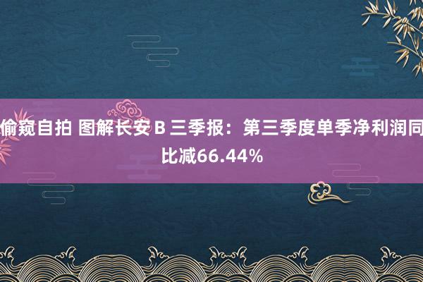 偷窥自拍 图解长安Ｂ三季报：第三季度单季净利润同比减66.44%