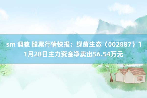 sm 调教 股票行情快报：绿茵生态（002887）11月28日主力资金净卖出56.54万元