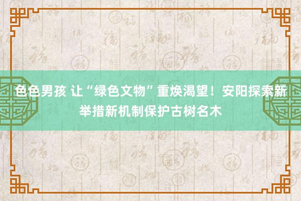 色色男孩 让“绿色文物”重焕渴望！安阳探索新举措新机制保护古树名木