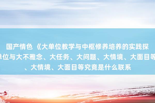 国产情色 《大单位教学与中枢修养培养的实践探索》（6）：大单位与大不雅念、大任务、大问题、大情境、大面目等究竟是什么联系