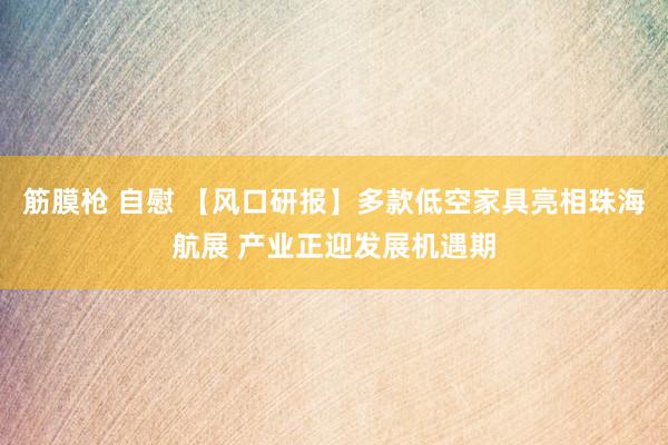 筋膜枪 自慰 【风口研报】多款低空家具亮相珠海航展 产业正迎发展机遇期