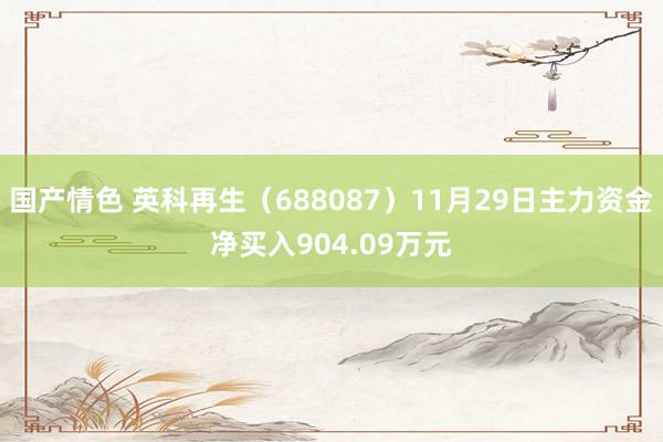 国产情色 英科再生（688087）11月29日主力资金净买入904.09万元