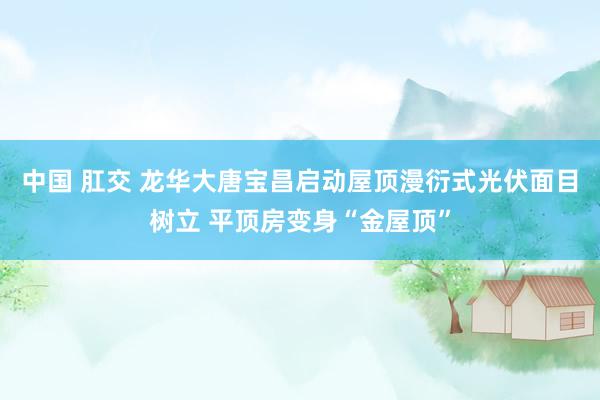 中国 肛交 龙华大唐宝昌启动屋顶漫衍式光伏面目树立 平顶房变身“金屋顶”