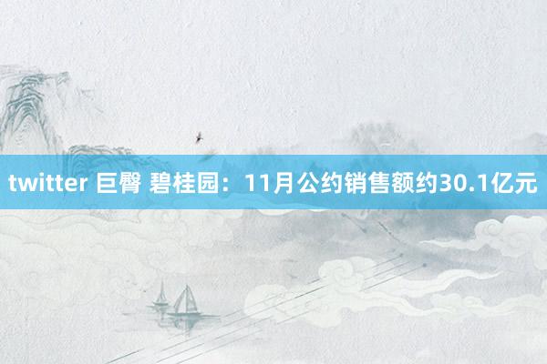 twitter 巨臀 碧桂园：11月公约销售额约30.1亿元