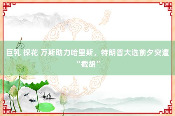 巨乳 探花 万斯助力哈里斯，特朗普大选前夕突遭“截胡”