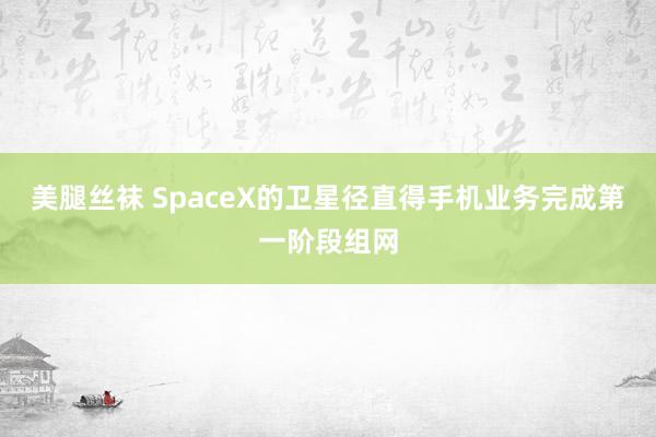 美腿丝袜 SpaceX的卫星径直得手机业务完成第一阶段组网