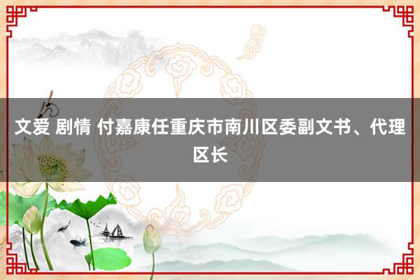 文爱 剧情 付嘉康任重庆市南川区委副文书、代理区长