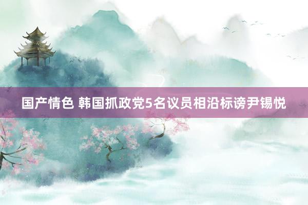 国产情色 韩国抓政党5名议员相沿标谤尹锡悦