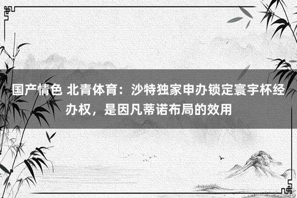 国产情色 北青体育：沙特独家申办锁定寰宇杯经办权，是因凡蒂诺布局的效用