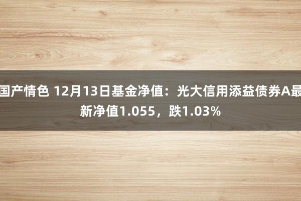 国产情色 12月13日基金净值：光大信用添益债券A最新净值1.055，跌1.03%