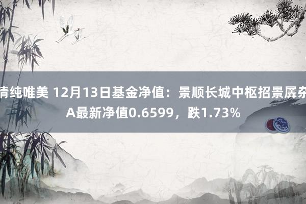清纯唯美 12月13日基金净值：景顺长城中枢招景羼杂A最新净值0.6599，跌1.73%