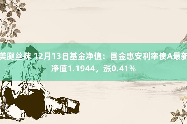 美腿丝袜 12月13日基金净值：国金惠安利率债A最新净值1.1944，涨0.41%