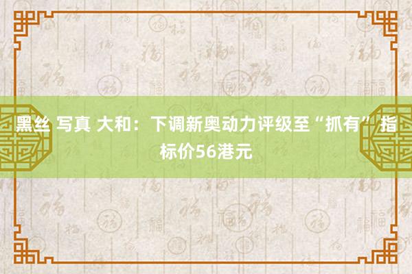 黑丝 写真 大和：下调新奥动力评级至“抓有” 指标价56港元