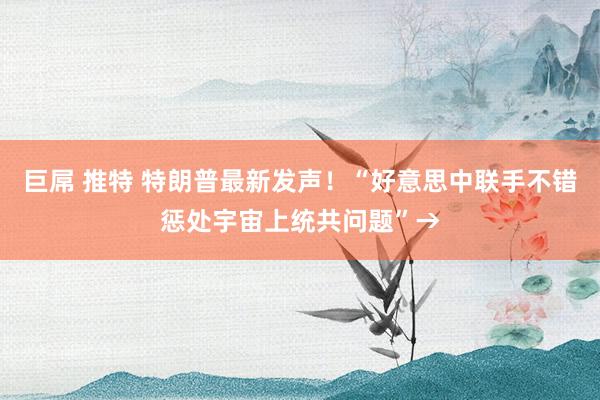 巨屌 推特 特朗普最新发声！“好意思中联手不错惩处宇宙上统共问题”→