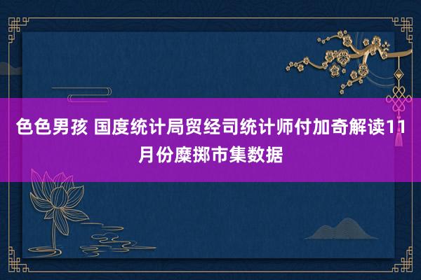 色色男孩 国度统计局贸经司统计师付加奇解读11月份糜掷市集数据