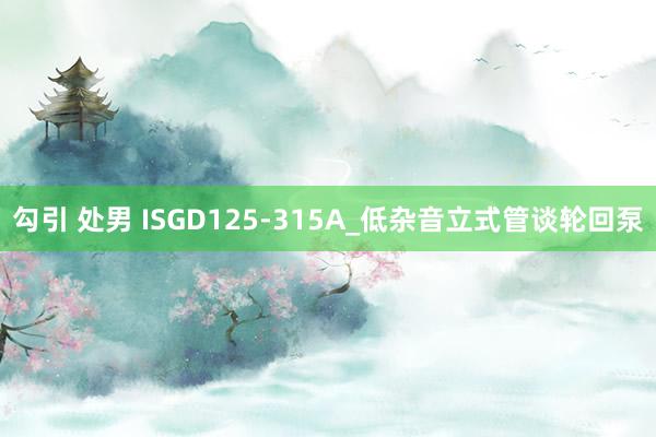 勾引 处男 ISGD125-315A_低杂音立式管谈轮回泵