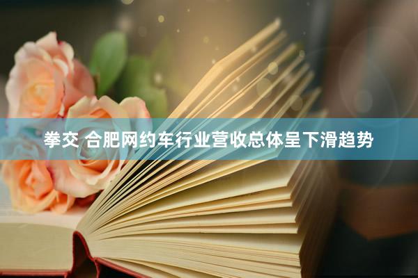 拳交 合肥网约车行业营收总体呈下滑趋势