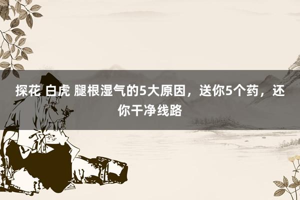 探花 白虎 腿根湿气的5大原因,送你5个药,还你干净线路