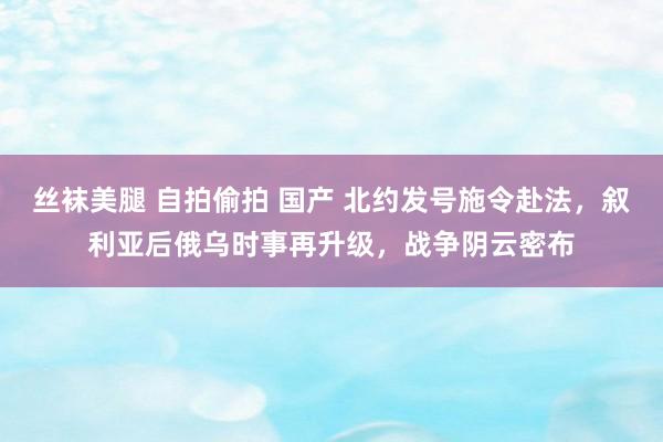 丝袜美腿 自拍偷拍 国产 北约发号施令赴法，叙利亚后俄乌时事再升级，战争阴云密布