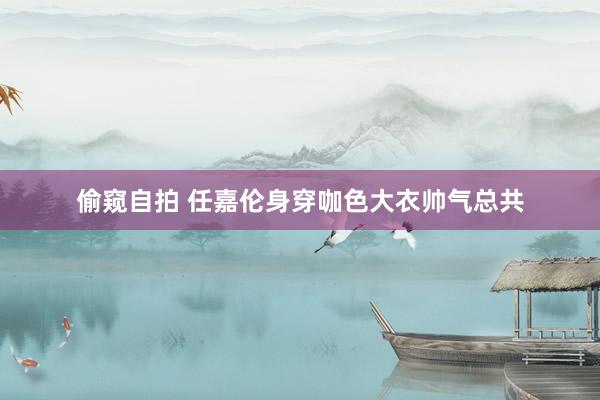 偷窥自拍 任嘉伦身穿咖色大衣帅气总共