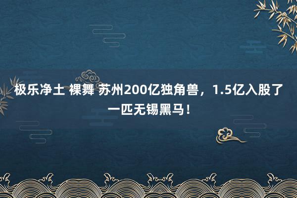 极乐净土 裸舞 苏州200亿独角兽，1.5亿入股了一匹无锡黑马！