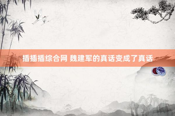 插插插综合网 魏建军的真话变成了真话