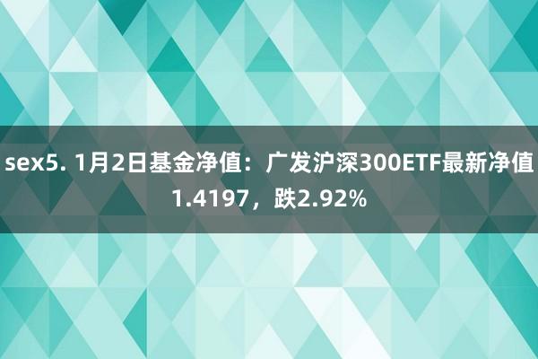 sex5. 1月2日基金净值：广发沪深300ETF最新净值1.4197，跌2.92%