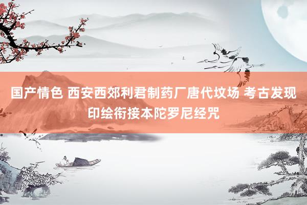 国产情色 西安西郊利君制药厂唐代坟场 考古发现印绘衔接本陀罗尼经咒