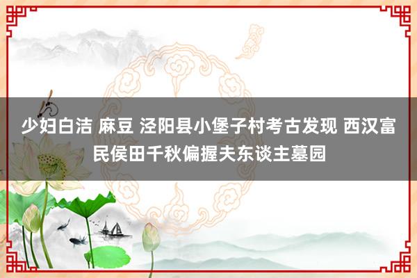少妇白洁 麻豆 泾阳县小堡子村考古发现 西汉富民侯田千秋偏握夫东谈主墓园