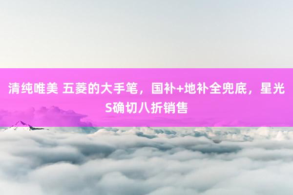 清纯唯美 五菱的大手笔，国补+地补全兜底，星光S确切八折销售
