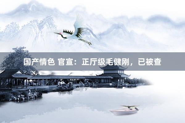 国产情色 官宣：正厅级毛健刚，已被查