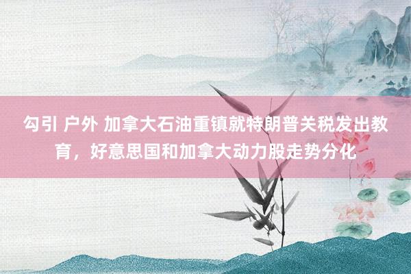 勾引 户外 加拿大石油重镇就特朗普关税发出教育，好意思国和加拿大动力股走势分化
