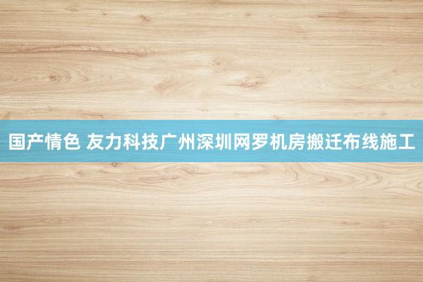国产情色 友力科技广州深圳网罗机房搬迁布线施工