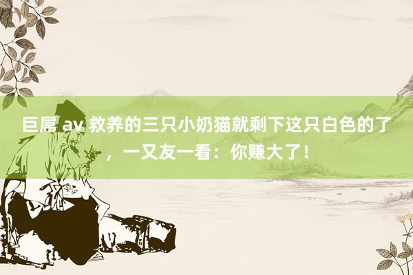 巨屌 av 救养的三只小奶猫就剩下这只白色的了，一又友一看：你赚大了！