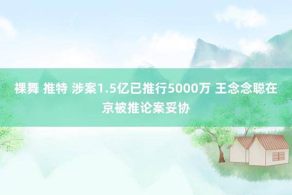 裸舞 推特 涉案1.5亿已推行5000万 王念念聪在京被推论案妥协