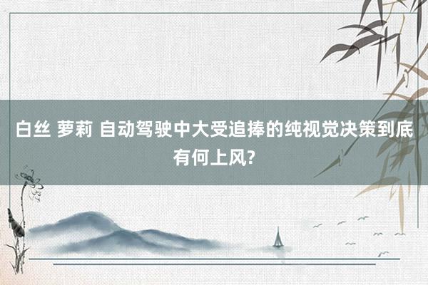 白丝 萝莉 自动驾驶中大受追捧的纯视觉决策到底有何上风?