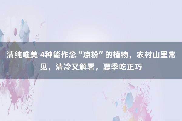 清纯唯美 4种能作念“凉粉”的植物，农村山里常见，清冷又解暑，夏季吃正巧