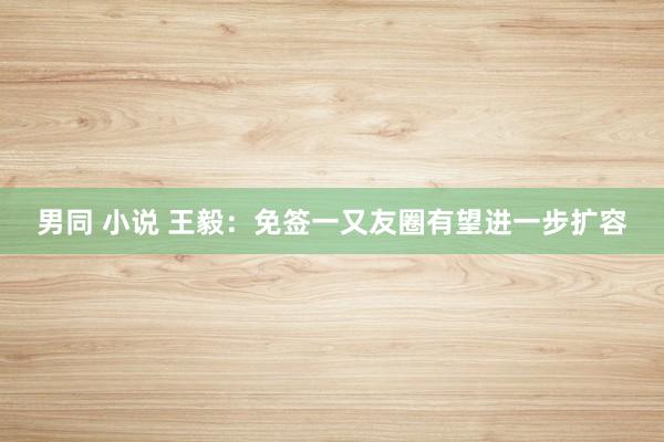 男同 小说 王毅：免签一又友圈有望进一步扩容