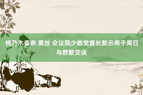 桃乃木香奈 黑丝 众议院少数党首长默示将于周日与舒默交谈