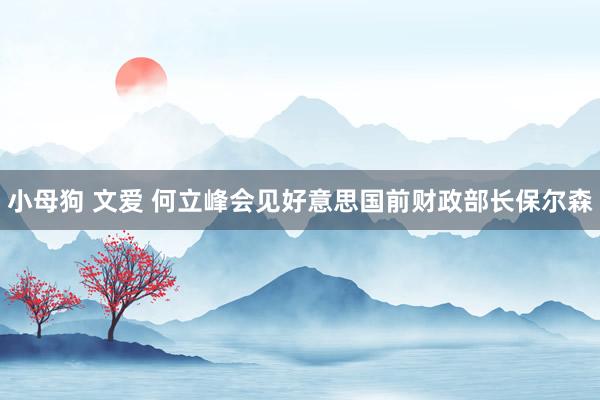 小母狗 文爱 何立峰会见好意思国前财政部长保尔森