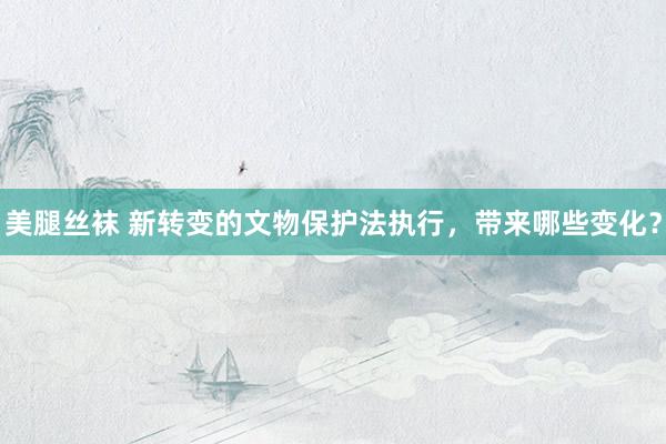 美腿丝袜 新转变的文物保护法执行，带来哪些变化？