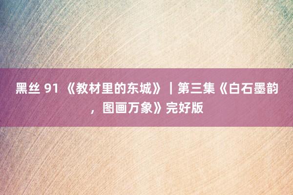 黑丝 91 《教材里的东城》｜第三集《白石墨韵，图画万象》完好版