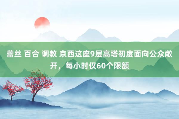 蕾丝 百合 调教 京西这座9层高塔初度面向公众敞开，每小时仅60个限额