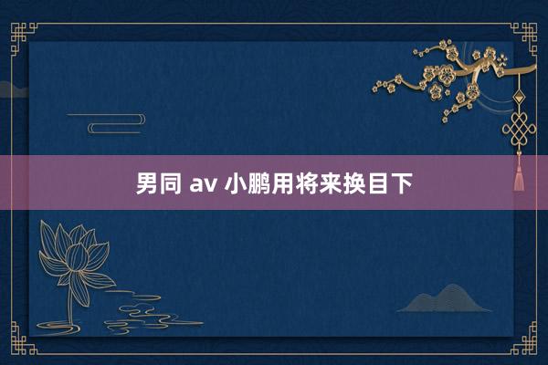 男同 av 小鹏用将来换目下