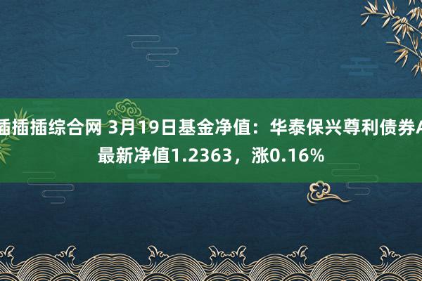 插插插综合网 3月19日基金净值：华泰保兴尊利债券A最新净值1.2363，涨0.16%