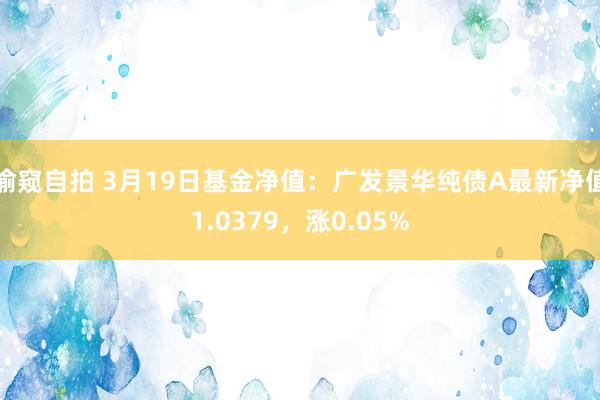 偷窥自拍 3月19日基金净值：广发景华纯债A最新净值1.0379，涨0.05%