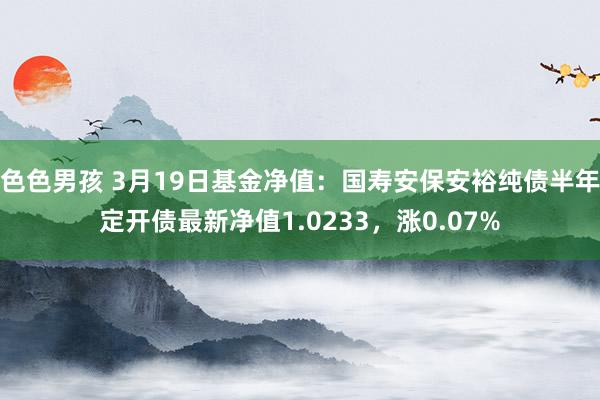 色色男孩 3月19日基金净值：国寿安保安裕纯债半年定开债最新净值1.0233，涨0.07%